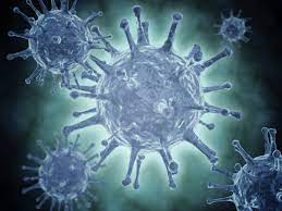 Hepatitis C Purpose, Procedure, Result, Risks and | LTI