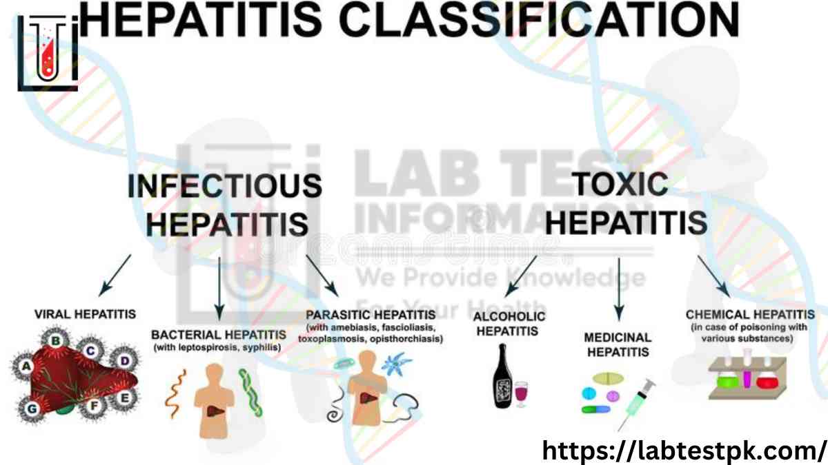 Types Of Hepatitis Virus