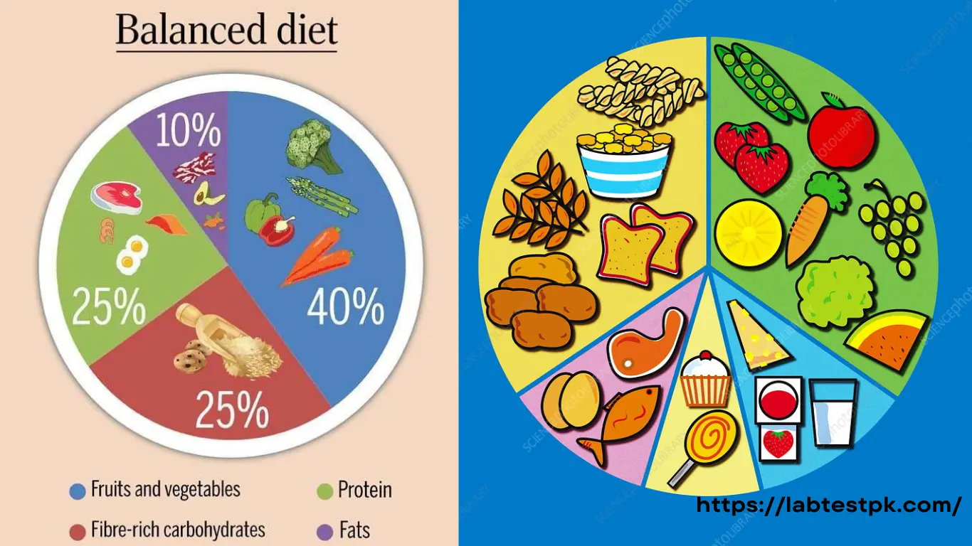 Perfect Balanced Diet Chart for