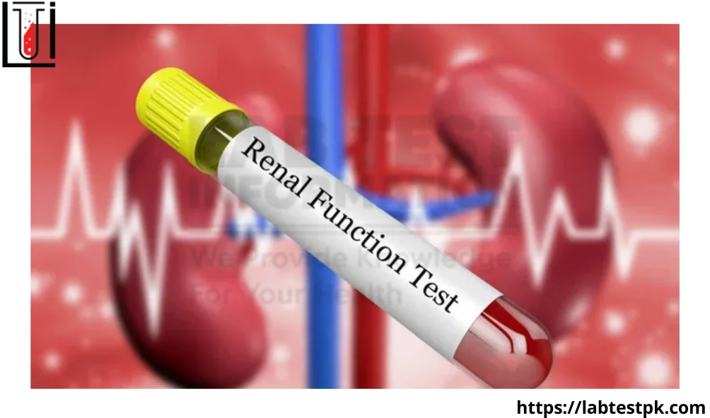 RFT Blood Test