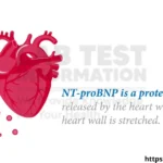 BNP, NT-proBNP